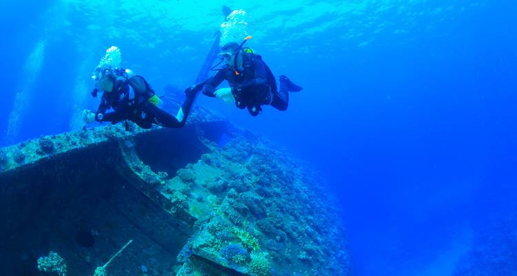 Dos buceadores exploran un navio hundido cubierto de vida marina en aguas azules profundas.
