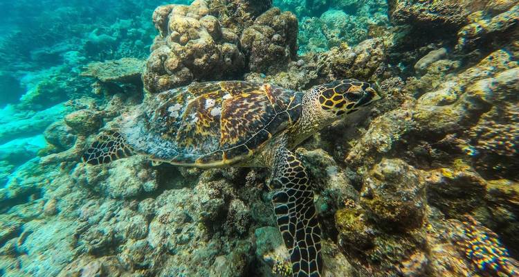 Maldives Uncovered - Encounters Travel 7