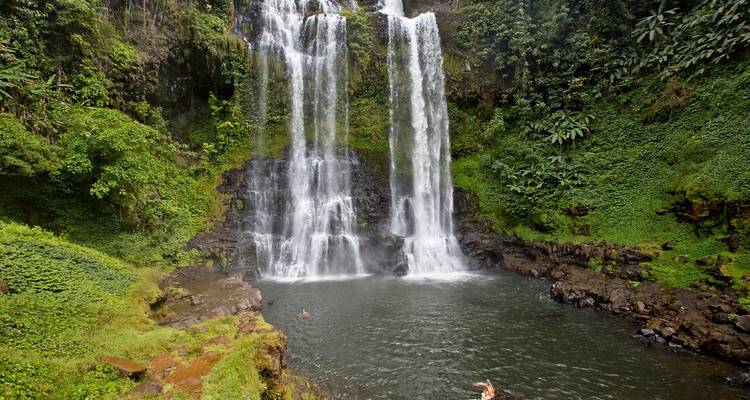 Una alta cascada de la selva se desploma en una piscina natural donde los nadadores disfrutan del agua fresca rodeados de vegetación.