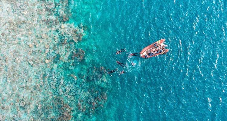 Vue aérienne de plongeurs avec tuba explorant un récif corallien vibrant à côté d'un petit bateau d'excursion dans une eau bleu clair.