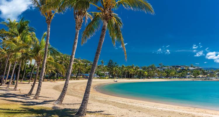 Plage de sable blanc sinueuse bordée de grands palmiers et d'eau azur calme à Airlie Beach