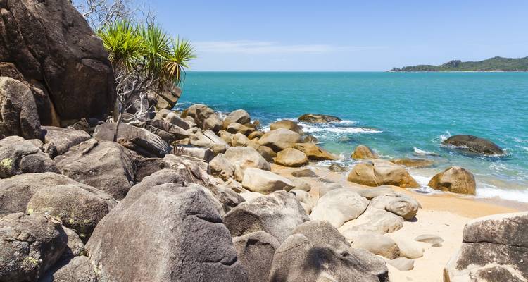 Côte rocheuse avec mer turquoise et arbres pandanus par une journée ensoleillée