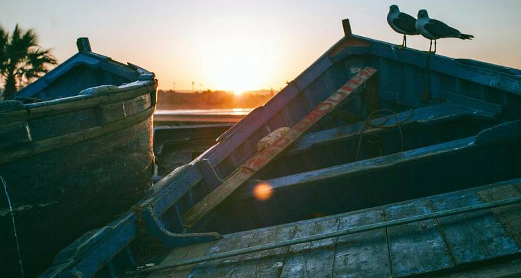Les silhouettes de bateaux de pêche bleus et de mouettes au coucher du soleil dans le port d'Essaouira.