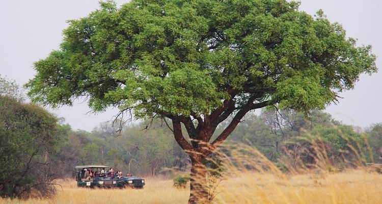 Botsuana y cataratas Victoria: senderismo salvaje y safari en coche - G Adventures 7