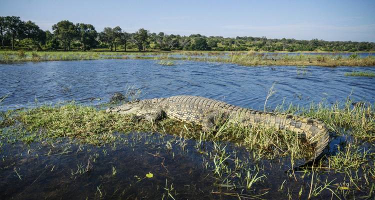 De Johannesburg à Nairobi par voie terrestre : Cascades et plages - G Adventures 8