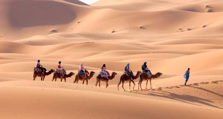 Kamelenkaravaan geleid door een gids in blauwe gewaad kronkelt over gouden Saharazanddduinen.