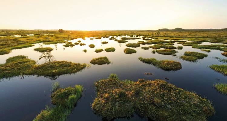 La lumière dorée du coucher de soleil sur une mosaïque de canaux d'eau et d'îles herbeuses dans le Delta de l'Okavango.