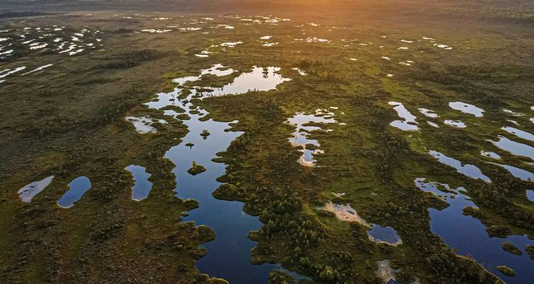 Luftaufnahme eines weitläufigen Feuchtgebietsmosaiks, das warmes Sonnenlicht bei Sonnenaufgang über dem Okavango-Delta reflektiert.