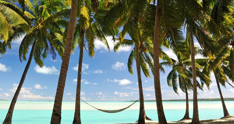 Un hamac se balance entre de minces palmiers sur une plage de sable blanc immaculé aux eaux turquoise.