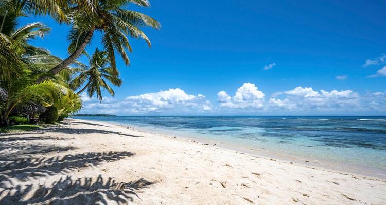Unberührter Strand mit weißem Sand, gesäumt von wiegenden Palmen und einer klaren blauen Lagune unter einem leuchtend azurblauen Himmel in Madagaskar.