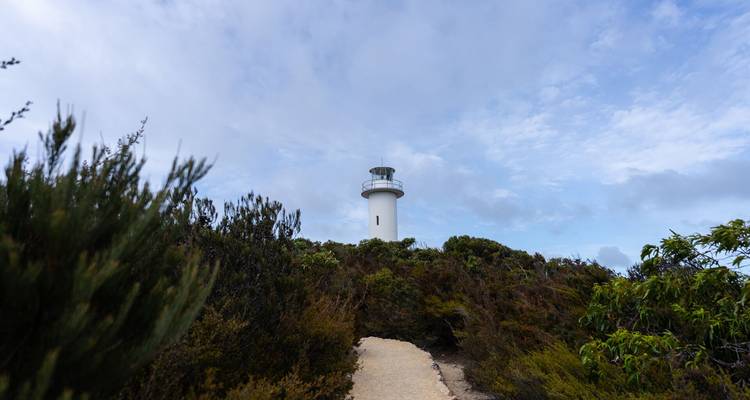 Phare côtier blanc s'élevant au-dessus d'une végétation dense le long d'un sentier de promenade sablonneux sous un ciel bleu.
