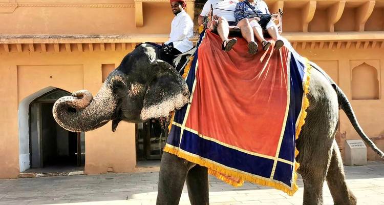 Toeristen rijden op een versierde olifant met een mahout voor een okerkleurige fortmuur.