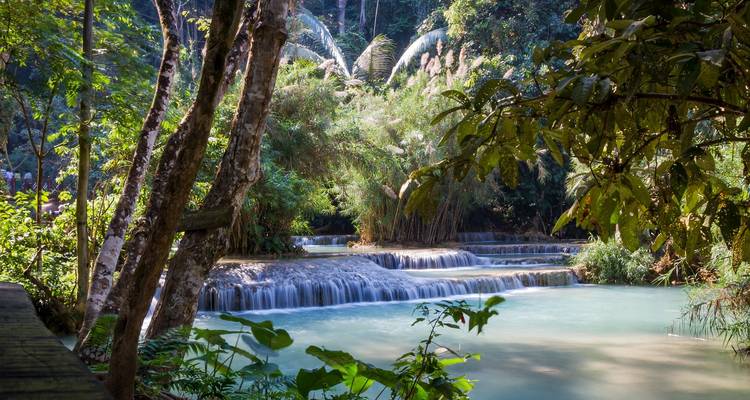 Meervoudige Kuang Si waterval stort zich door tropisch bos in melkwitte blauwe poelen.