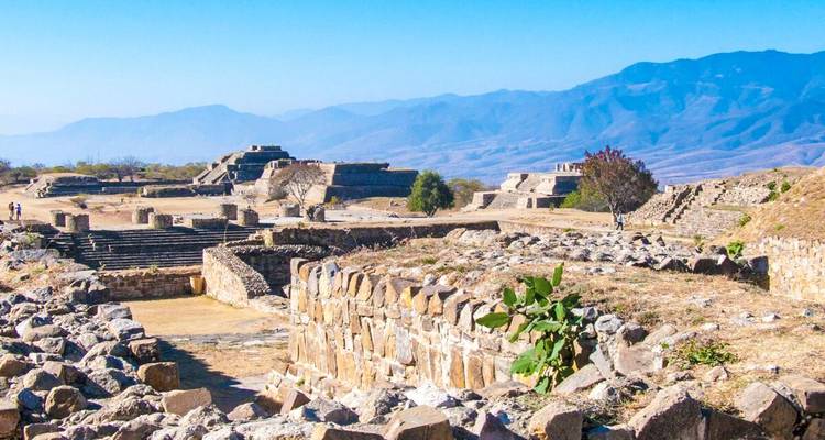 Weitläufiger Blick auf die Ruinen von Monte Alban, die sich über ein Plateau erstrecken, mit entfernten blauen Bergen unter einem klaren Himmel.