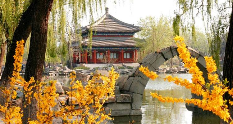 Traditional Chinese pavilion beside a pond viewed through blossoming yellow flowers and a graceful stone arch bridge.