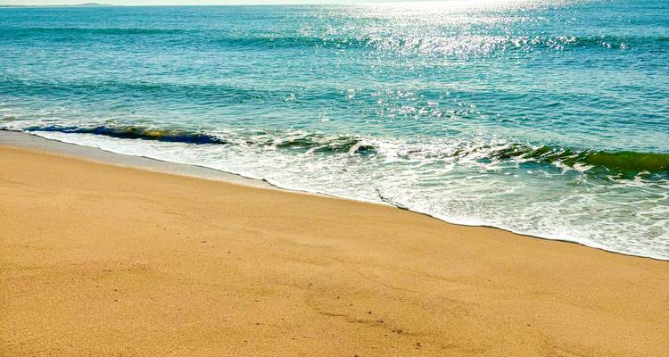 Suave ola se desliza hacia una tranquila playa de arena dorada bajo la radiante luz del mediodía.