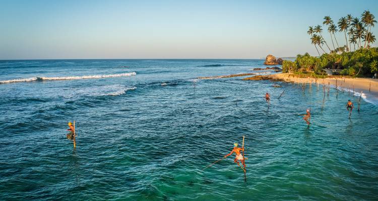 Les pêcheurs traditionnels sur échasses se perchent au-dessus des vagues ondulantes près d'une plage bordée de palmiers à l'aube.