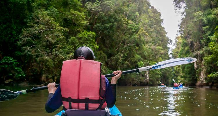 Kayaker paddles through a narrow, lush green gorge on calm river water.