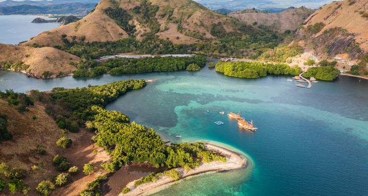 Vista aérea de una bahía turquesa rodeada de colinas verdes y manglares con pequeños botes anclados cerca de calas arenosas.