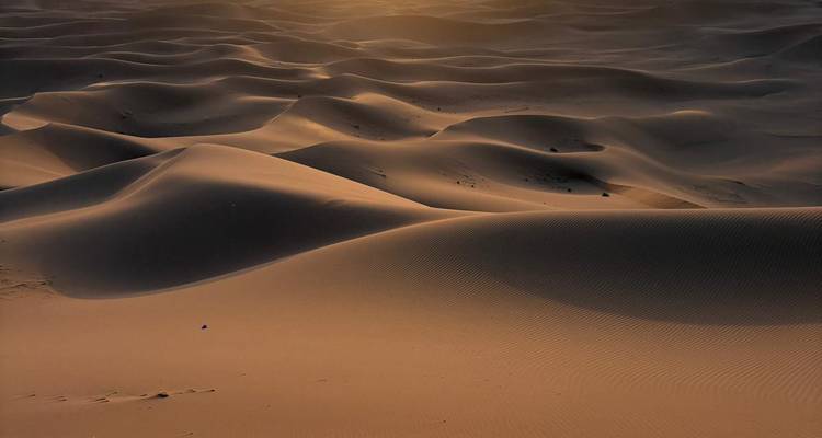 Dunas de arena dorada extendiéndose hacia el horizonte al atardecer con texturas nítidas y sombras suaves.