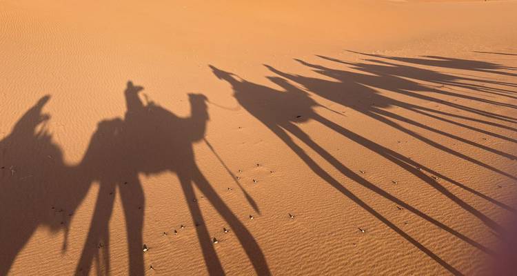 Las largas sombras de una caravana de camellos se estiran sobre la arena naranja ondulada al amanecer.