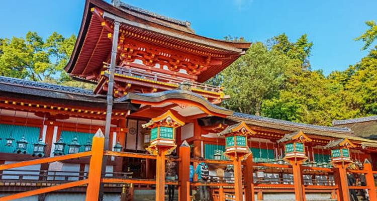 Levendige rode en gouden Shinto-heiligdomgebouwen omgeven door bosgroen onder een heldere hemel.
