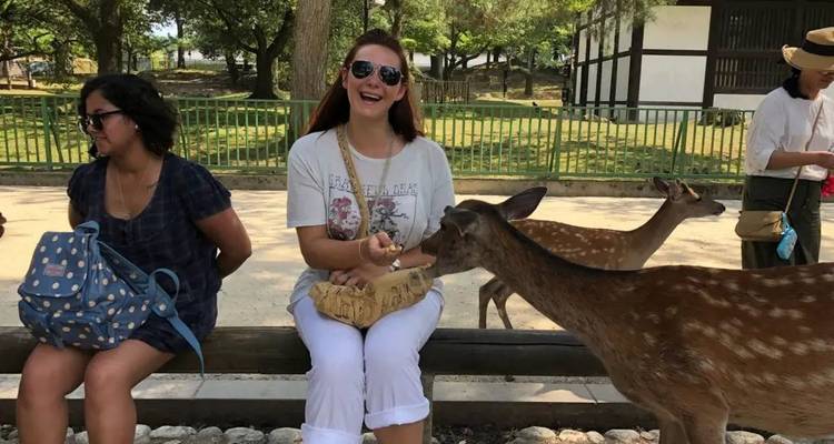 Reiziger voedt vriendelijke herten terwijl anderen toekijken in Nara Park op een zonnige middag.
