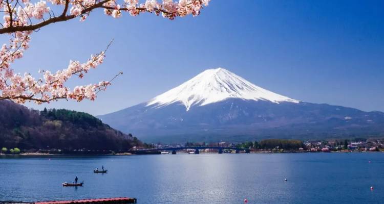 De met sneeuw bedekte Mount Fuji rijst op achter kersenbloesems en een rustig meer vol bootjes.