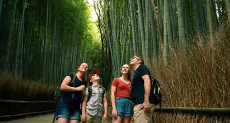 Familie kijkt omhoog naar de imposante bamboestaafjes in Kyoto's beroemde bamboebos van Arashiyama.