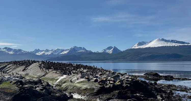 Rotseiland vol met zeevogels in een rustige fjord omgeven door sneeuwbedekte bergen.
