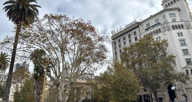 Stadsplein met hoge palmen, herfstbomen en klassieke witte gebouwen onder een bewolkte lucht.