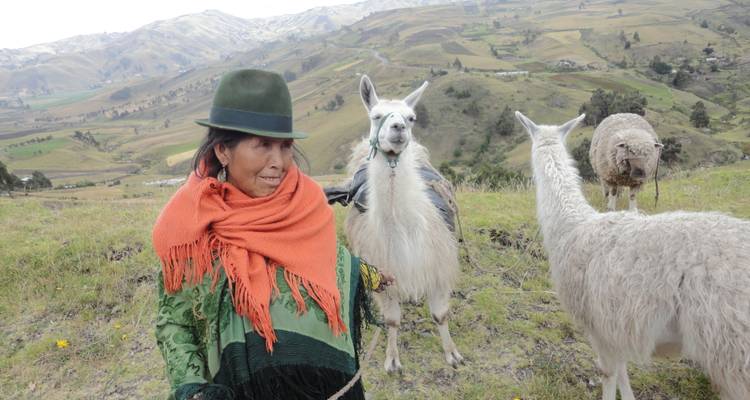 Indigene Frau in grünem Poncho und Hut steht mit ihren Lamas auf einer hochgelegenen Andenpasture.