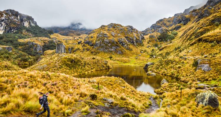 Un excursionista atraviesa un exuberante prado de gran altitud junto a un pequeño lago de montaña entre colinas brumosas en el Parque Nacional El Cajas.