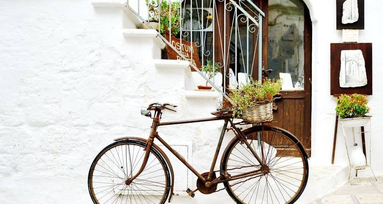 Vintage fiets met bloemenmand leunt tegen een witgekalkte muur van een charmante steegje.