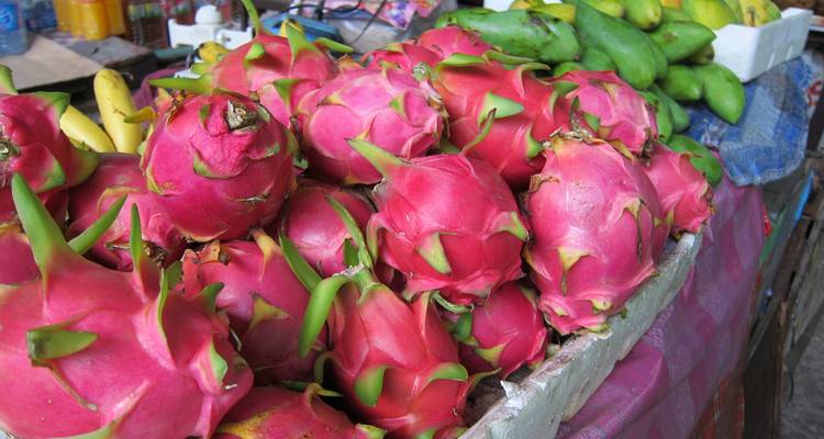 Pile de fruits du dragon rose vif exposés à un étal de marché tropical.