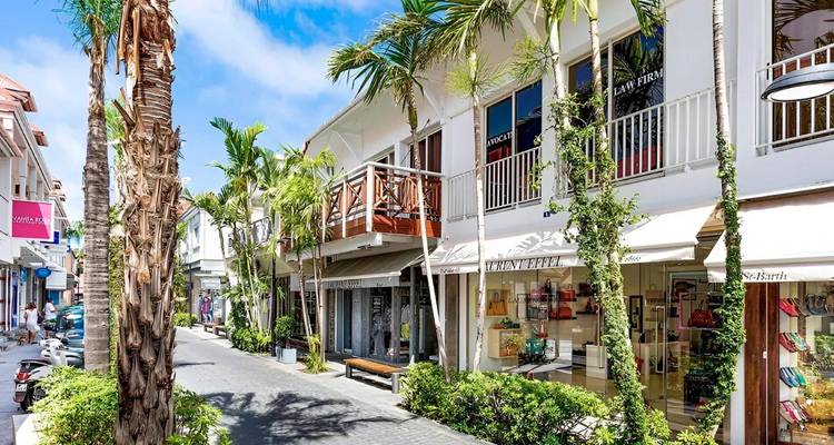 Charmante rue commerçante piétonne bordée de palmiers et de boutiques de luxe