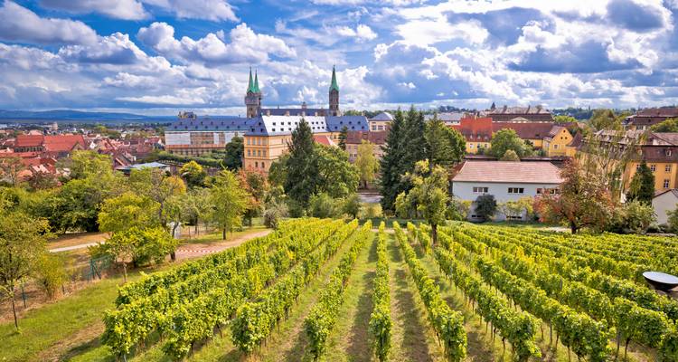 Filas de viñedos exuberantes que conducen hacia el horizonte de Würzburg con sus torres gemelas de iglesias y tejados históricos dispersos bajo un cielo parcialmente nublado.