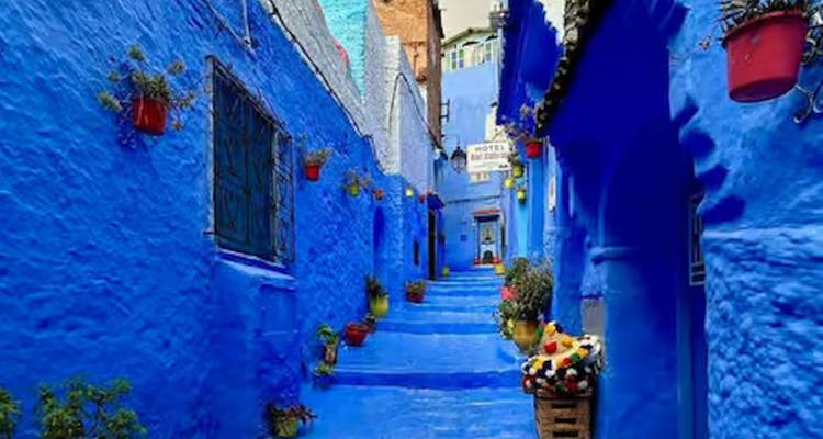 Ruelle d'un bleu éclatant avec des pots de fleurs et des marches dans la médina de Chefchaouen