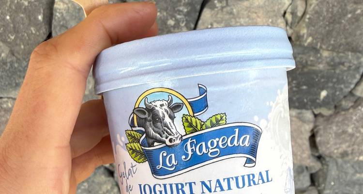 Une main tenant une tasse de yaourt naturel La Fageda devant un mur en pierre.