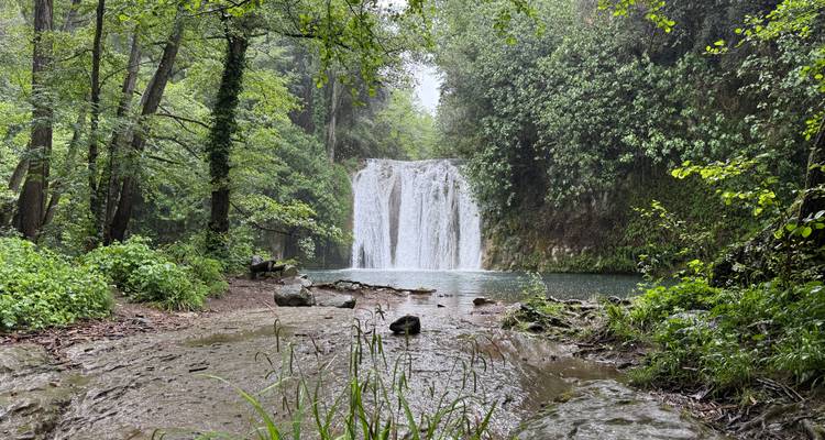 Brede bosreserve waterval die in een poel stort omringd door weelderig groen na regen.