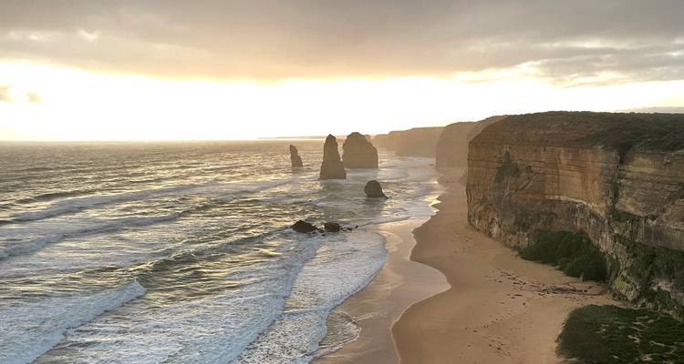 La lumière dorée du matin baigne les formations calcaires et les falaises des Douze Apôtres tandis que les vagues se déploient sur la plage de sable en contrebas.