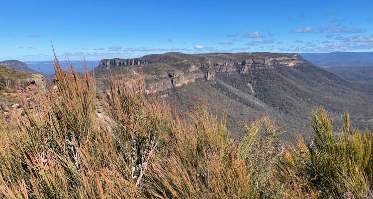 Vaste panorama de montagnes accidentées et d'escarpements couverts de brousse d'eucalyptus sous un ciel bleu dégagé.