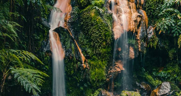 Schilderachtige dubbele waterval die over mosachtige rotsen in een helder poeltje in een weelderig regenwoud gutst.
