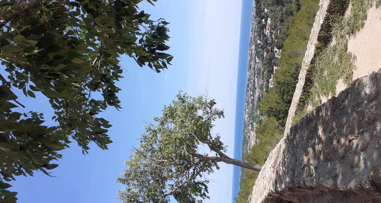 Point de vue élevé encadré par des branches d'arbres surplombant une ville côtière et la mer Méditerranée.