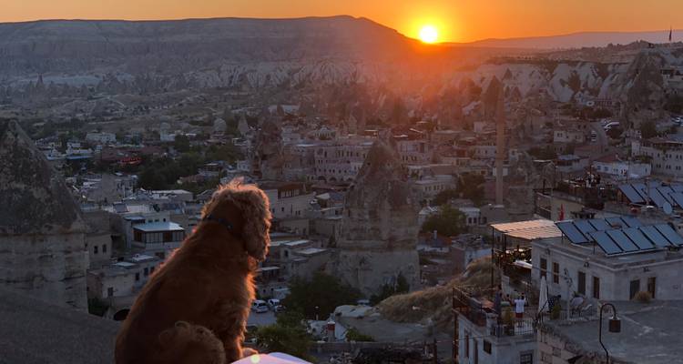 Un chien observe le coucher de soleil sur les toits en forme de flèche de pierre de Göreme depuis une terrasse élevée.