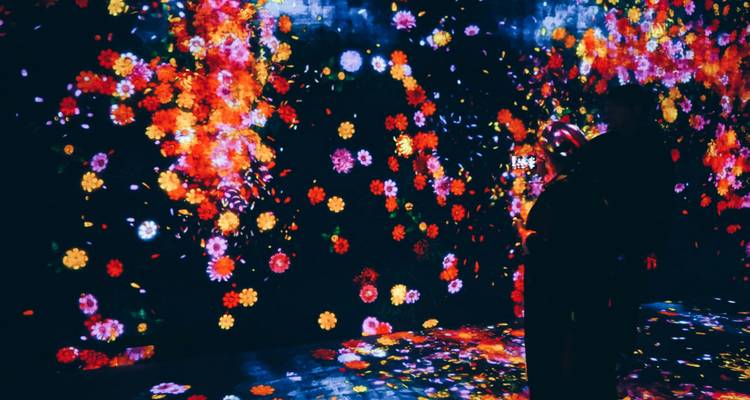 Een persoon staat binnen een meeslepende digitale kunsttentoonstelling van vallende geanimeerde bloemen in Tokio.