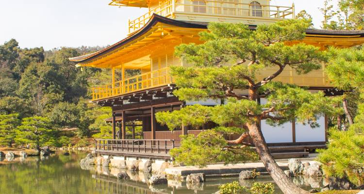 De glinsterende Gouden Paviljoen (Kinkaku-ji) weerspiegeld in de omringende vijver en aangelegde tuin.