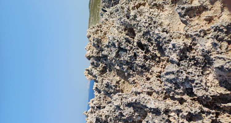 Gros plan sur du calcaire poreux et déchiqueté contre un ciel bleu clair.