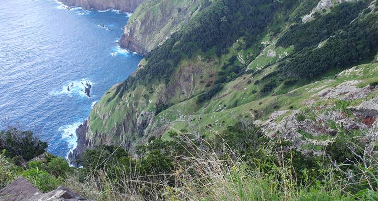 Un acantilado empinado cubierto de hierba que cae hacia un océano azul profundo, visto desde un punto elevado.