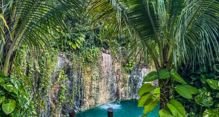 Cenote waterval omgeven door dichte groene begroeiing ingelijst door palmbladeren